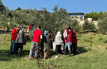 Engelli yurttaşlar İzmir'de zeytin hasadıyla bir araya geldi