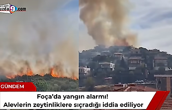 Foça'da yangın alarmı! Alevlerin zeytinliklere sıçradığı iddia ediliyor