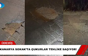 Kanarya Sokak'ta Çukurlar Tehlike Saçıyor!