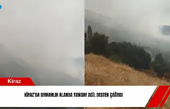 Kiraz'da ormanlık alanda yangın! Acil destek çağrısı