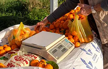 'Mandalinanı Tart, Parasını Kutusuna At' uygulaması başladı