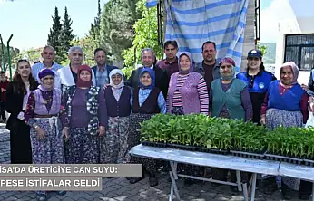 Manisa'da üreticiye can suyu: 34 bin fide toprakla buluştu