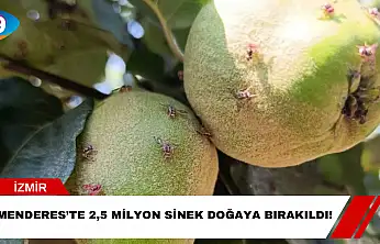 Menderes'te 2,5 Milyon Sinek Doğaya Bırakıldı!