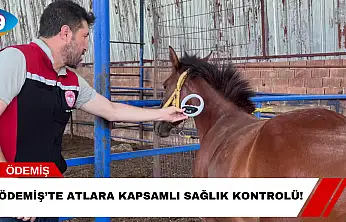 Ödemiş'te Atlara Kapsamlı Sağlık Kontrolü!