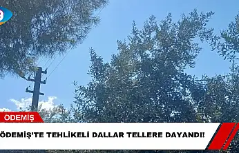 Ödemiş'te Tehlikeli Dallar Tellere Dayandı!