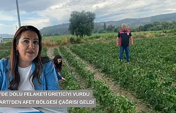 Tire'de dolu felaketi üreticiyi vurdu, İYİ Parti'den afet bölgesi çağrısı geldi