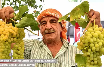 Urla'da 2600 yıllık gelenek yeniden canlanıyor: Bağbozumu Şenlikleri başlıyor