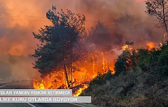 Uyarı geldi: Yağışlar yangın riskini bitirmedi, tehlike kuru otlarda büyüyor