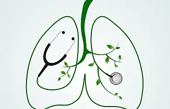 Uzmanlardan uyarı: Üç haftadan uzun süren öksürük verem belirtisi olabilir