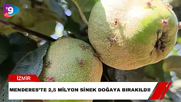 Menderes'te 2,5 Milyon Sinek Doğaya Bırakıldı!