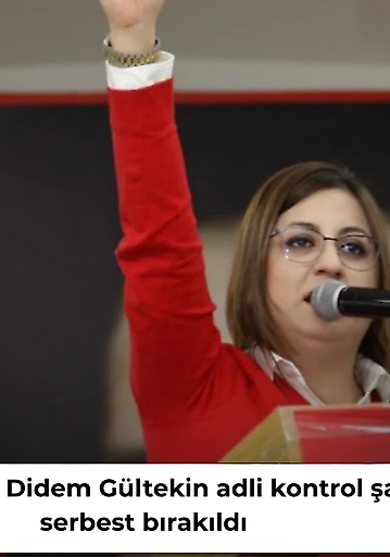 CHP'li başkan Didem Gültekin adli kontrol şartıyla serbest bırakıldı