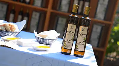 Soma'da zeytin hasadı şenliği: Başkan Okur'dan tarımsal geleceğe güçlü mesaj