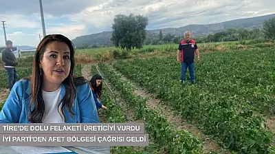 Tire'de dolu felaketi üreticiyi vurdu, İYİ Parti'den afet bölgesi çağrısı geldi