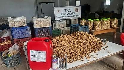 Lavabo açıcıyla beyazlatılmış 3 ton incir ele geçirildi