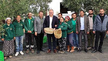 Urla'da zeytin ve sanat buluşması: Uluslararası festival 6 Kasım'da başlıyor