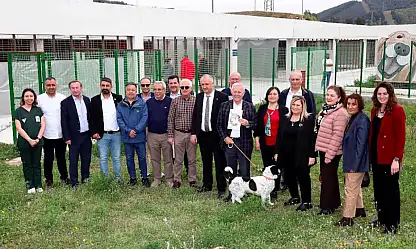 İZSİAD'dan sokak hayvanları için örnek seferberlik
