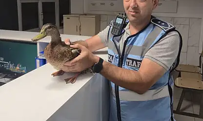 Minik can için zaman durdu!