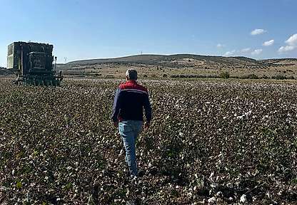 Beyaz altın hasadı başladı