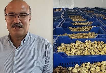 İYİ Partili Ulusoy Tire'de konuştu: İncirde fiyat yarıya düştü