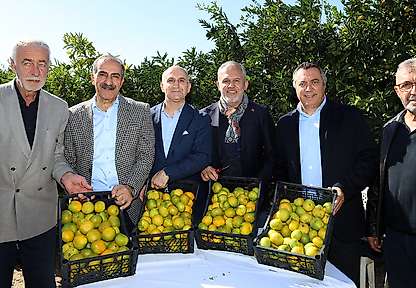 Satsuma mandalinada ihracat sezonu başladı