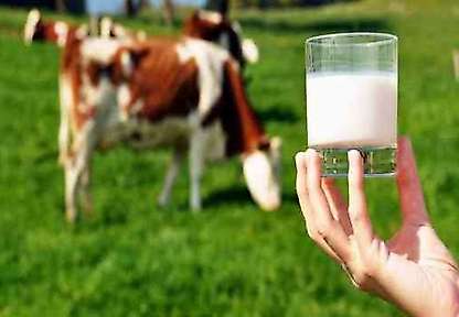Ağustos ayında süt üretimi yüzde 9,5 arttı