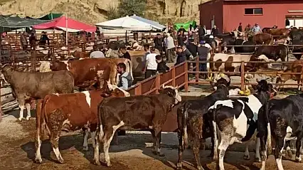 Şap salgınına karşı acil önlem: Hayvan pazarlarına geçici kilit