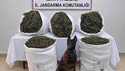 Uyuşturucu operasyonu: 54 kilo 800 gram e*rar ele geçirildi
