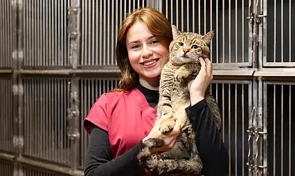 Buca'da 2 yılda 599 sokak hayvanı sahiplendirildi