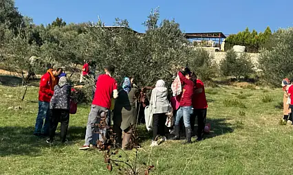 Engelli yurttaşlar İzmir'de zeytin hasadıyla bir araya geldi