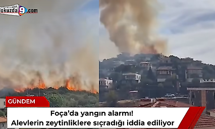 Foça'da yangın alarmı! Alevlerin zeytinliklere sıçradığı iddia ediliyor