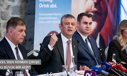 Özel'den Roman çıkışı: 'Bu büyük bir ayıp'