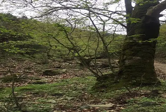 Dededağı'na 1350 metrelik tırmanış