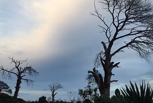 Likya Yolu'nun en manzaralı etabı: Karaöz-Gelidonya Feneri-Adrasan