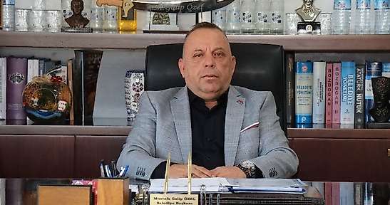 Bozdoğan Belediye Başkanı Özel'den zeytin fiyatlarına tepki: Bir bardak çay parasına satılamaz