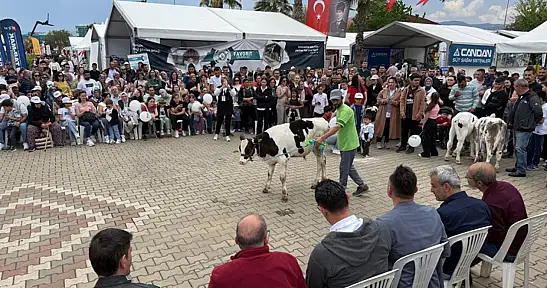 Ödemiş tarım fuarı için geri sayım başladı