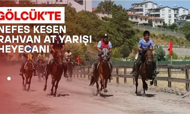 Rahvan at yarışları - Kocaeli / Gölcük
