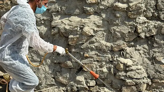 Akreplerin istila ettiği köyde ilaçlama yapıldı