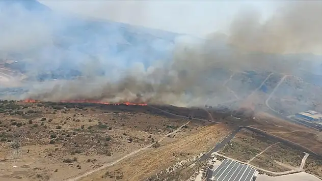 Aliağa yolu üzerindeki ormanlık alanda yangın