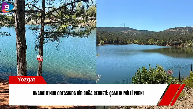 Anadolu'nun ortasında bir doğa cenneti: Çamlık Milli Parkı