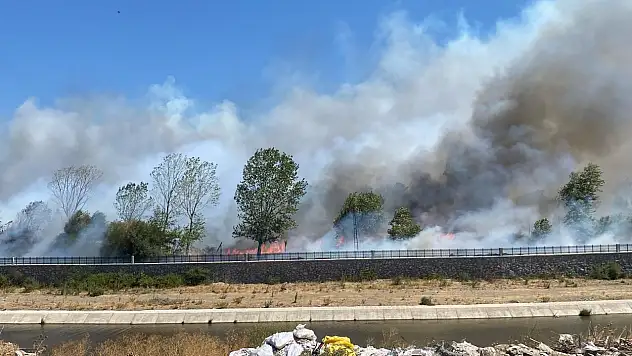 Ayvacık'ta çöplük alanda çıkan yangın ormana sıçradı