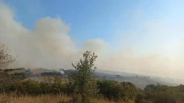 Balıkesir Bigadiç'te orman yangını