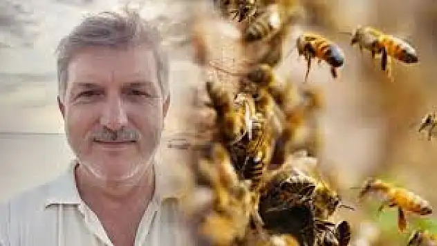 Balıkesir'de bahçede korkunç olay: Arıların saldırdığı adam öldü, eşi kalp krizi geçirdi