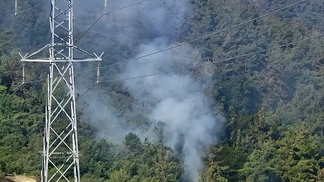 Balıkesir'deki orman yangınına havadan müdahale