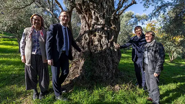 Başkan Tugay Beydağ'da kestane üreticileriyle bir araya geldi