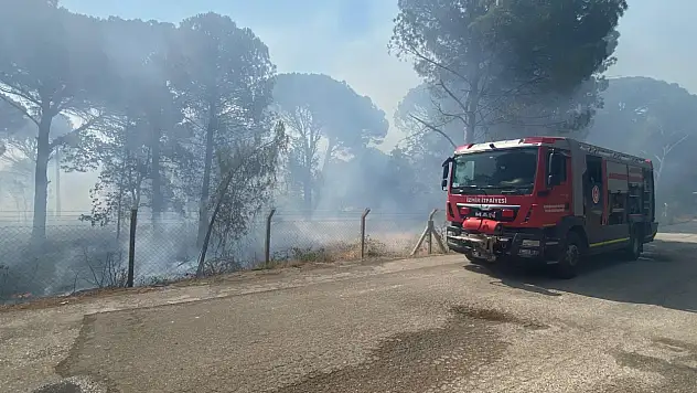 Bergama'da Orman Yangını
