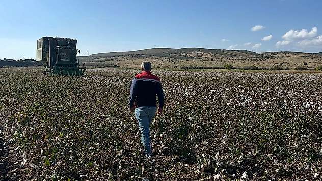 Beyaz altın hasadı başladı