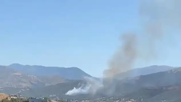 Beydağ'ın Bakırköy Mahallesi'nde yangın paniği