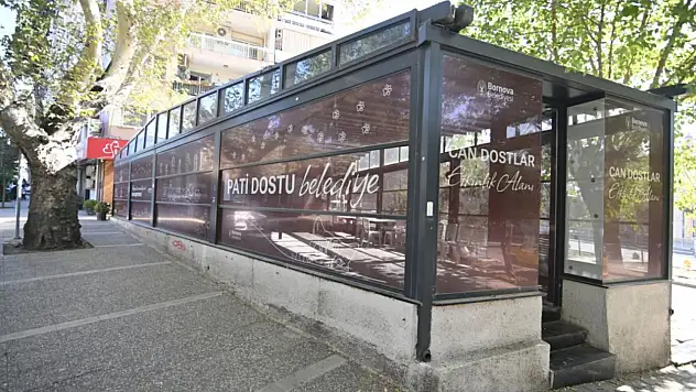 Bornova'da sokak hayvanlarına güçlü destek: Eros kedi kliniği 4 ayda binlerce can dostuna ulaştı