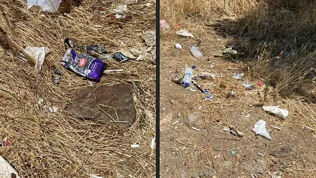 Bozdağ ve Gölcük Yolunda Hüzünlü Görüntüler: Yangınların Gölgesi Eşsiz Doğayı Sarstı