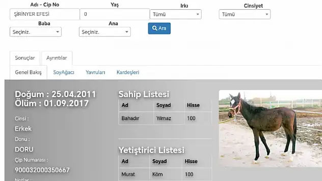 Buca soruşturmasında dikkat çeken detay: 13 atın 7'si ölü çıktı